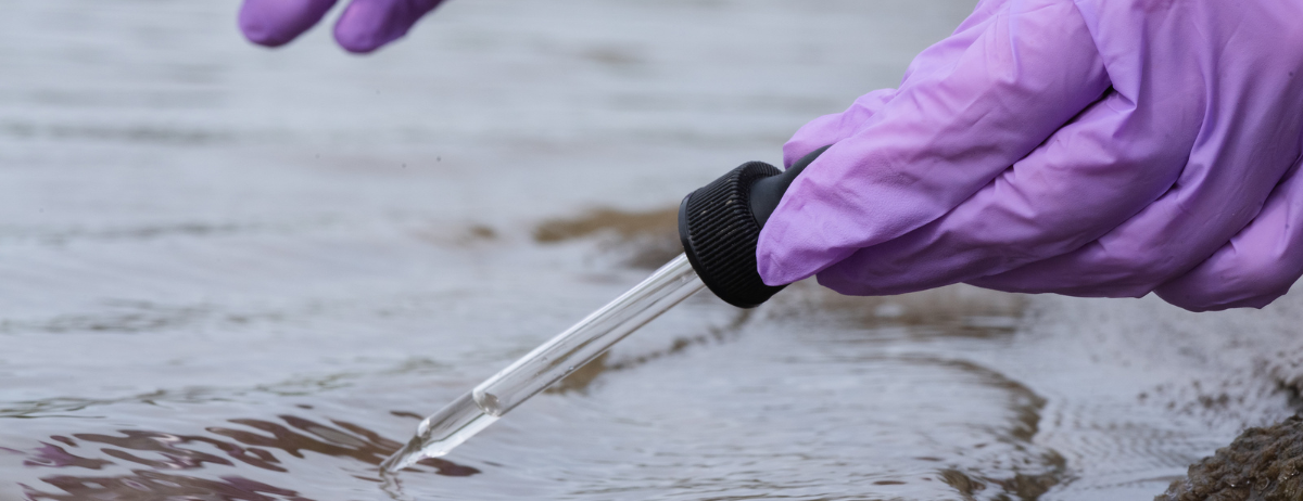 Agua, salud y contaminación en México