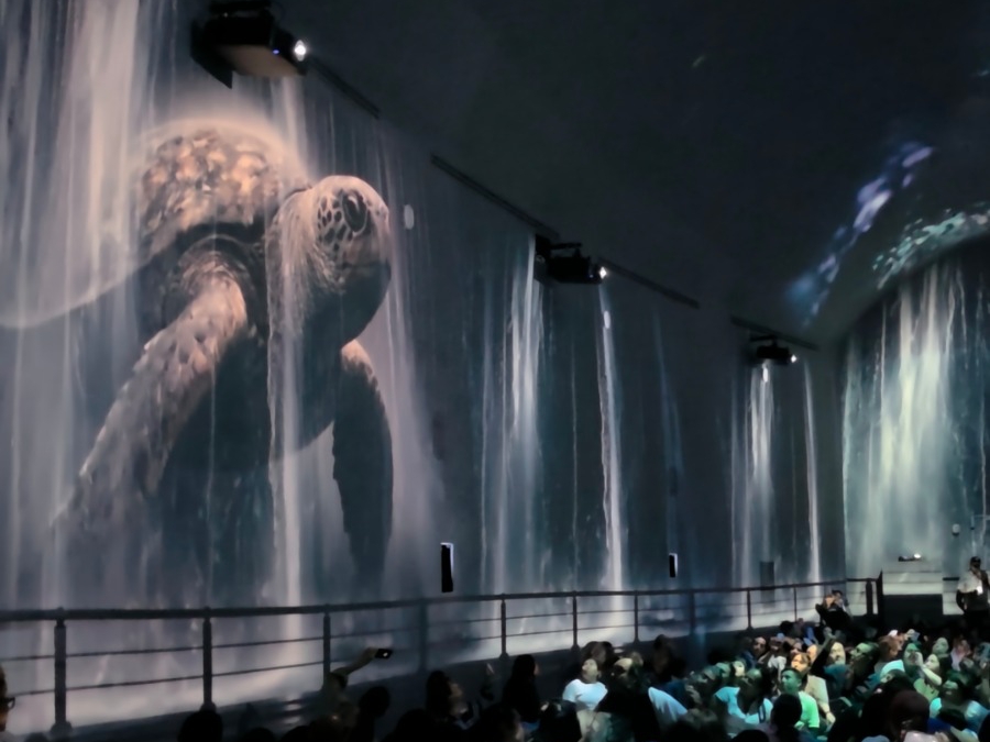 Ciudad de México – Aquífera en Aztlán: la experiencia inmersiva que te conecta con el agua en Chapultepec (Alan x el Mundo)