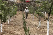 México – Conagua: Especialistas revelan los principales retos del organismo en concesiones de pozos (El Informador)