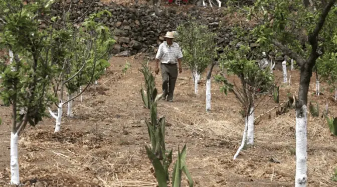 México – Conagua: Especialistas revelan los principales retos del organismo en concesiones de pozos (El Informador)