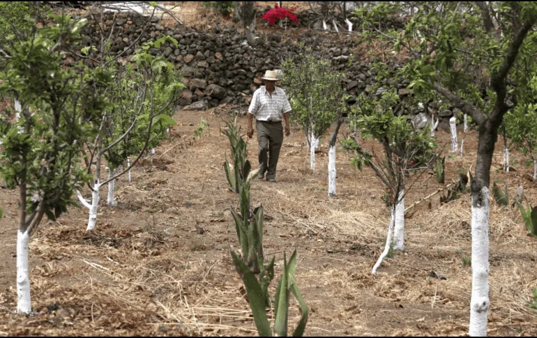 México – Conagua: Especialistas revelan los principales retos del organismo en concesiones de pozos (El Informador)