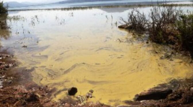 Michoacán – Lago de Zirahuén pierde hasta 50 metros por saqueo de agua (Meganoticias CDMX)