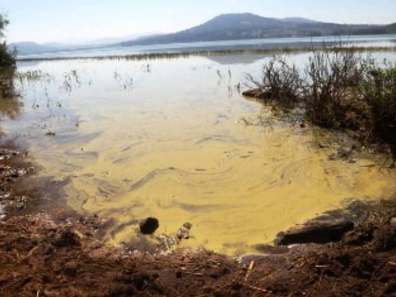 Michoacán – Lago de Zirahuén pierde hasta 50 metros por saqueo de agua (Meganoticias CDMX)