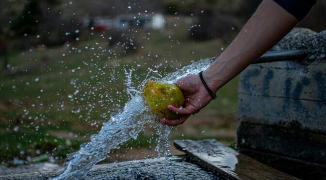 Mundo–Desperdicio de alimentos presiona el agua y agrava la crisis ambiental (Mundo Ejecutivo)