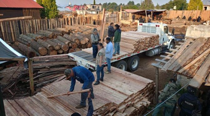 Estado de México–Clausuran aserraderos ilegales en el Bosque de Agua para proteger recursos hídricos (Excélsior)