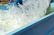 Guanajuato – Comunidad de La Concepción podría recuperar agua tras año y medio (Zona Franca)