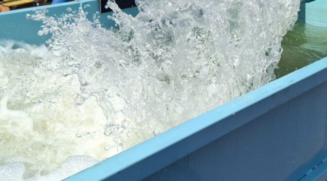 Guanajuato – Comunidad de La Concepción podría recuperar agua tras año y medio (Zona Franca)