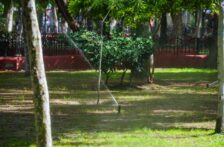 Celaya-Jumapa amplía uso de agua tratada en riego de espacios públicos (Zona Franca)