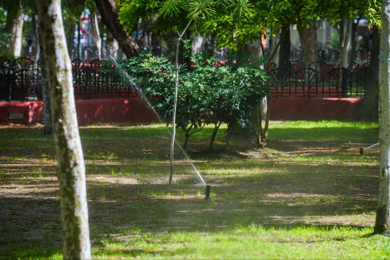Celaya-Jumapa amplía uso de agua tratada en riego de espacios públicos (Zona Franca)