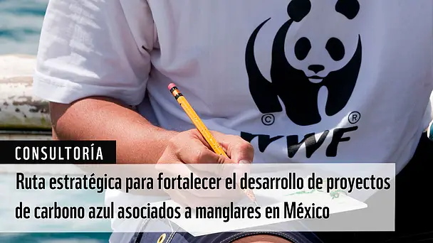 Ruta estratégica para fortalecer el desarrollo de proyectos de carbono azul asociados a manglares en México (WWF México)