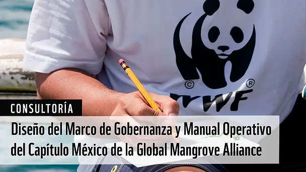 Consultoría: Diseño del Marco de Gobernanza y Manual Operativo del Capítulo México de la Global Mangrove Alliance (WWF México)