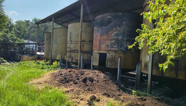 Chiapas-Impone Profepa medidas correctivas a planta de aceite palma, en Chiapas, por manejo inadecuado de aguas residuales (Gobierno de México)