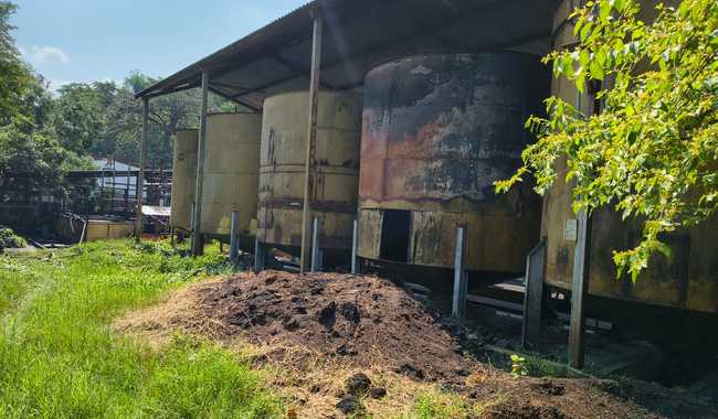 Chiapas-Impone Profepa medidas correctivas a planta de aceite palma, en Chiapas, por manejo inadecuado de aguas residuales (Gobierno de México)