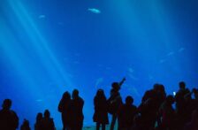 CDMX-La experiencia inmersiva en Chapultepec que explica el origen del agua: visítala en Semana Santa (CDMX Secreta)