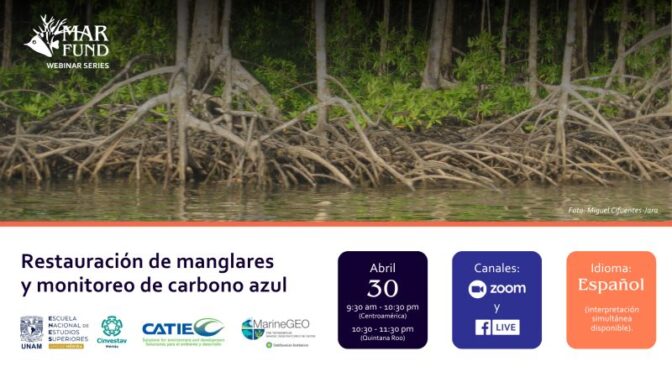 Seminario en línea: Restauración de manglares y monitoreo de carbono azul (Mesoamerican Reef Fund)