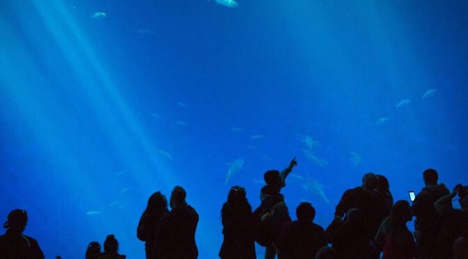 CDMX-La experiencia inmersiva en Chapultepec que explica el origen del agua: visítala en Semana Santa (CDMX Secreta)