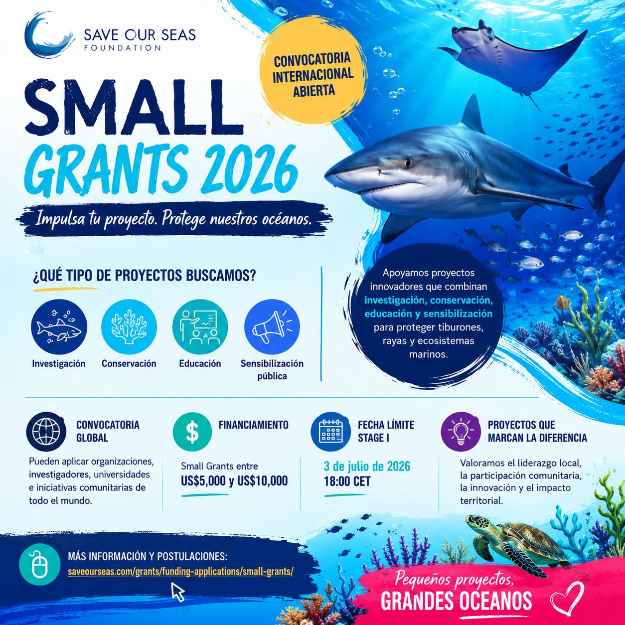 Convocatoria Small Grants 2026 para la conservación marina (Save Our Seas Foundation)