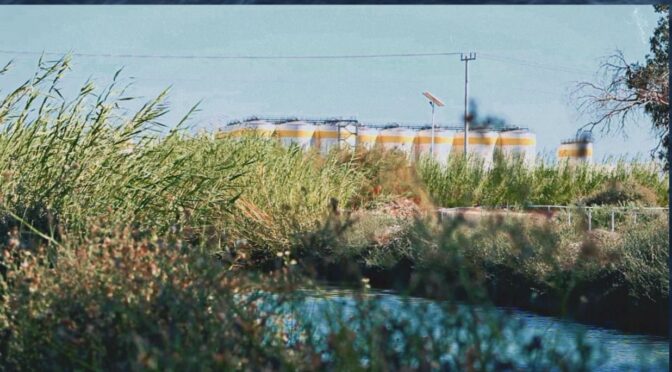 Presentación: Defender el agua: voces de la resistencia en Mexicali (Grafito Activo)