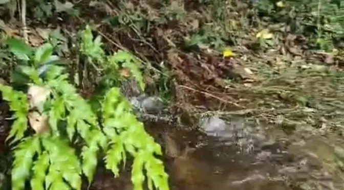 Hidalgo – Huejutla: fuga de agua deja sin servicio a 64 colonias (El Sol de Hidalgo)