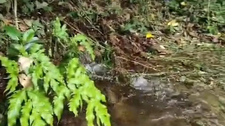 Hidalgo – Huejutla: fuga de agua deja sin servicio a 64 colonias (El Sol de Hidalgo)