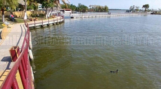 Tamaulipas – Se desperdician 300 litros por segundo de agua tratada en el sur de Tamaulipas (HoyTamaulipas)