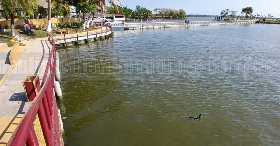 Agua
