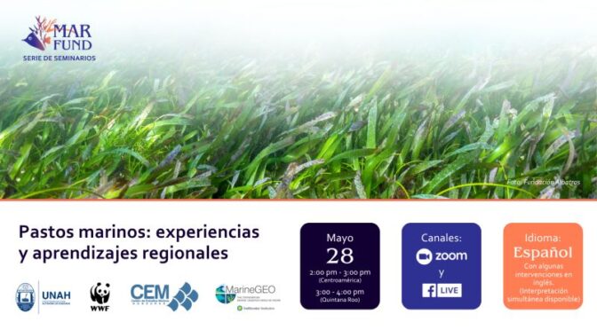 Pastos marinos: experiencias y aprendizajes regionales (MAR Fund)