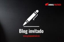 México–Agua: Disponibilidad, gestión y crisis hídrica en Oaxaca (Grupo Animal)