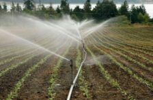 Chihuahua-Castigarán ahorrar agua en el campo, advierte Consejo Agropecuario (Tiempo la Noticia Digital)