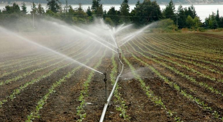 Chihuahua-Castigarán ahorrar agua en el campo, advierte Consejo Agropecuario (Tiempo la Noticia Digital)