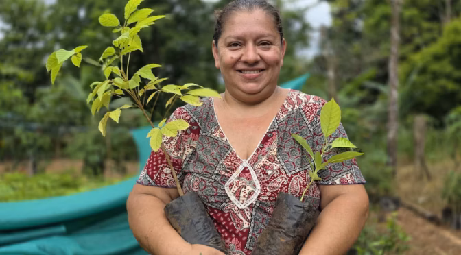 Costa Rica-Mujeres que siembran futuro: jefas de hogar cultivan árboles para proteger el agua en comunidades rurales de Costa Rica (infobae)