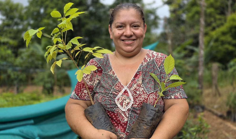 Costa Rica-Mujeres que siembran futuro: jefas de hogar cultivan árboles para proteger el agua en comunidades rurales de Costa Rica (infobae)