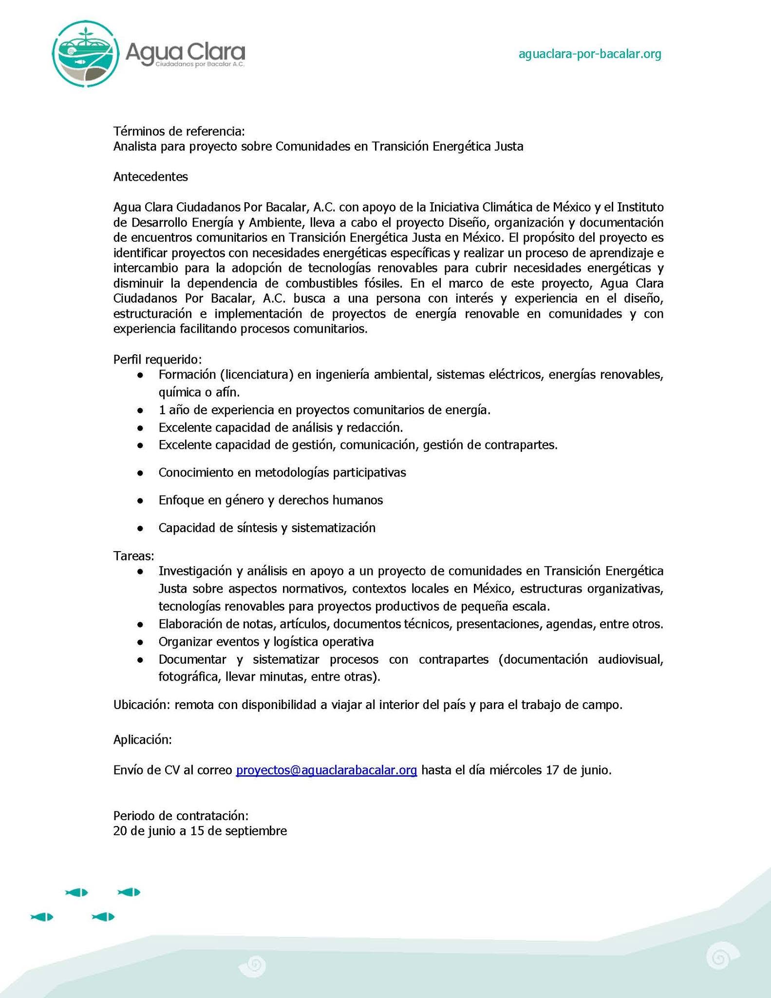 Vacante – Transición Energética en México (Agua Clara)