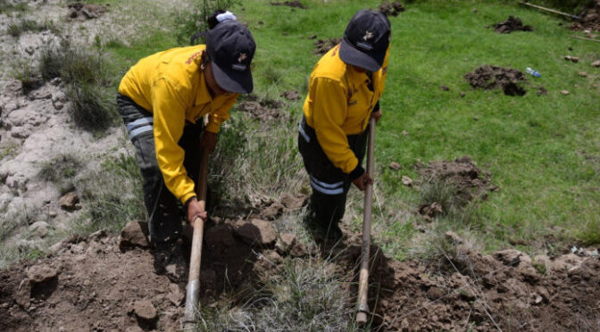 Edoméx – Inicia campaña de restauración forestal para captar agua y reducir inundaciones (Ocho Columnas)