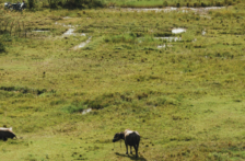 Morelos –  Recuperar los bosques contribuye al abastecimiento de agua y al bienestar de las familias: Gobierno de Morelos (Gob. Morelos)
