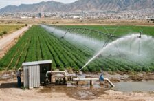 Coahuila-El campo concentra el mayor volumen de la distribución de agua (El Coahuilense)