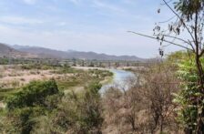 Sinaloa – Reportan un aumento en la demanda de agua en Rosario ante el calor y estiaje (Noroeste)