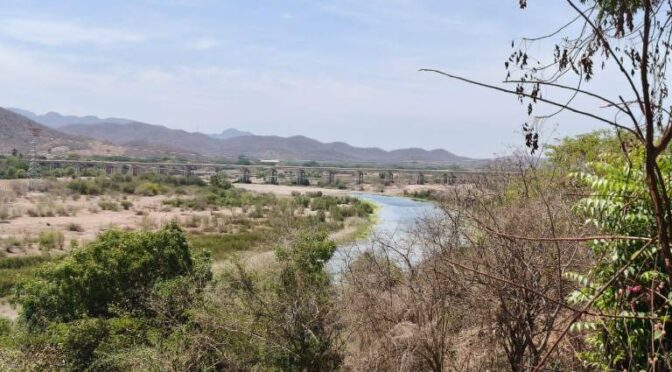 Sinaloa – Reportan un aumento en la demanda de agua en Rosario ante el calor y estiaje (Noroeste)