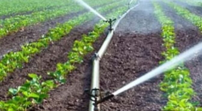 México – Especialista plantea ampliar tecnificación de riego para contrarrestar desperdicio de agua potable (Diario Portal)