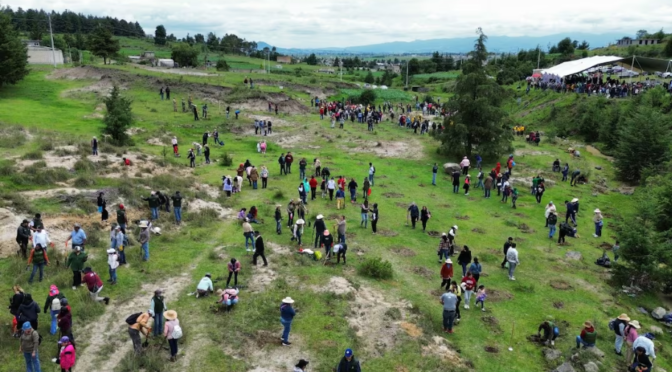 Edoméx – Probosque arranca megaproyecto de 20 mil árboles para salvar el agua en Almoloya de Juárez (El Universal)