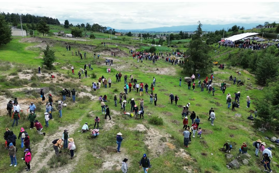 Edoméx – Probosque arranca megaproyecto de 20 mil árboles para salvar el agua en Almoloya de Juárez (El Universal)