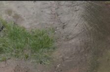Ciudad de México–Miles de litros de agua se desperdician en Colinas del Sur por fuga en Álvaro Obregón (N+)