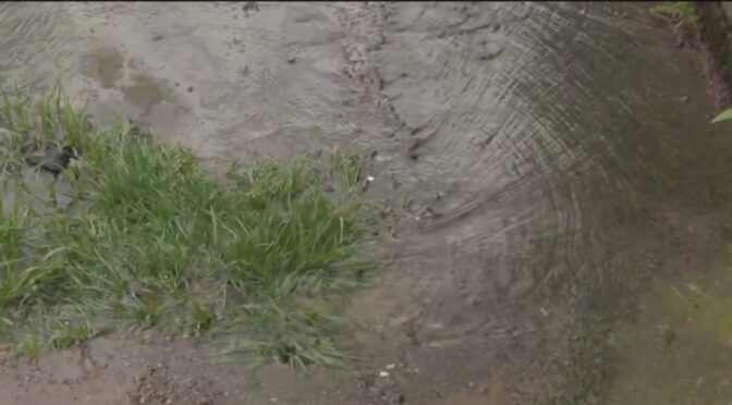 Ciudad de México–Miles de litros de agua se desperdician en Colinas del Sur por fuga en Álvaro Obregón (N+)