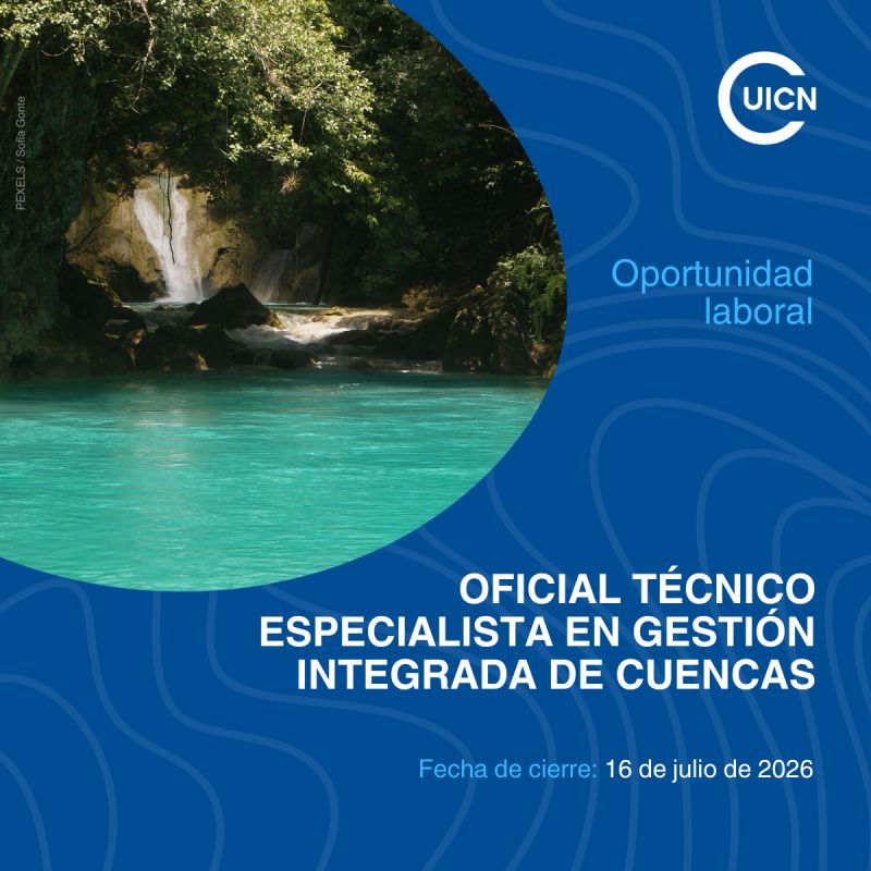 Vacante-Técnico Especialista en Gestión Integrada de Cuencas (UICN)