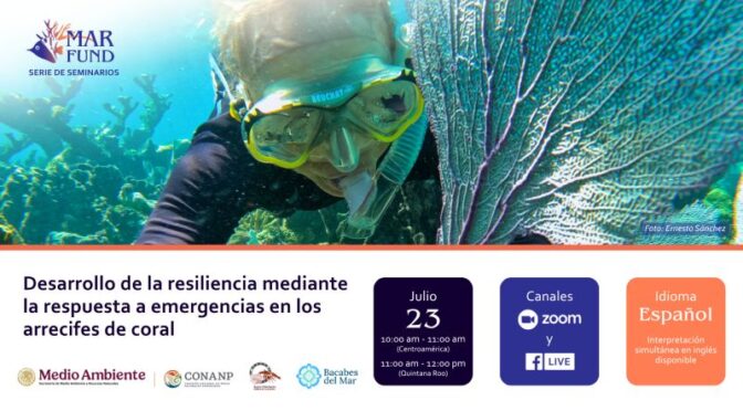 Seminario web: Desarrollo de la resiliencia mediante la respuesta a emergencias en los arrecifes de coral (MAR Fund)