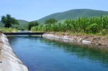 CDMX – Tecnifican riego en Morelos para ahorrar más agua (Vértigo Político)
