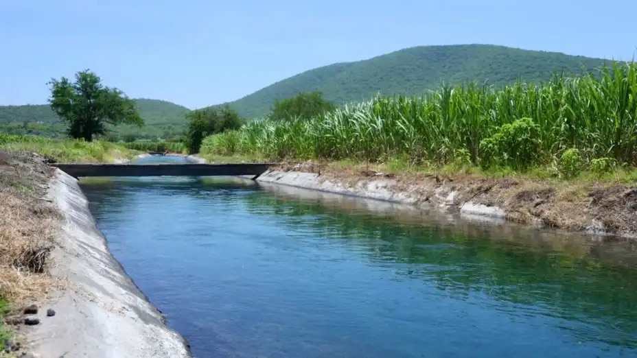 CDMX – Tecnifican riego en Morelos para ahorrar más agua (Vértigo Político)