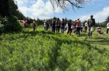 Michoacán-Alianza por la Conservación del Bosque, Suelo y Agua A.C. alista su reforestación anual (Informativo la Región)