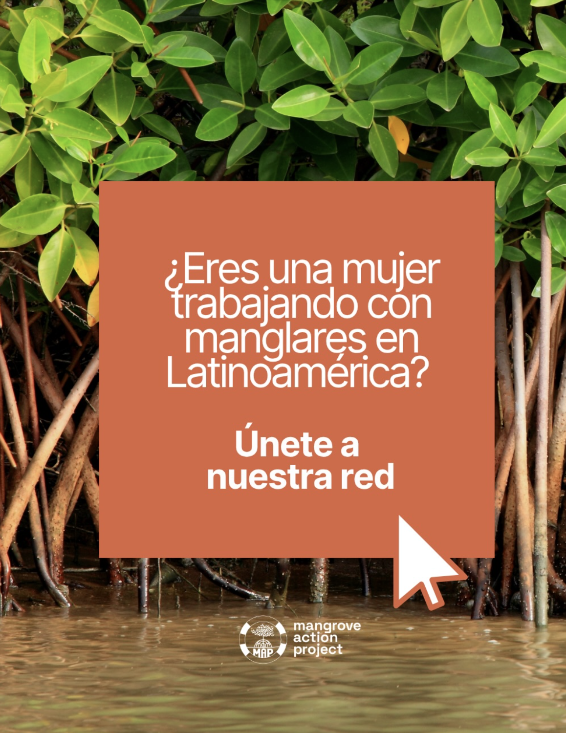 Agua