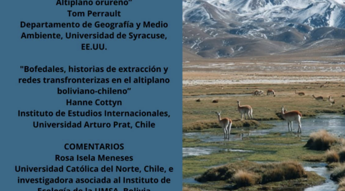 Seminario: Agua y bofedales en la frontera chileno-boliviana (CIDES-INTE)